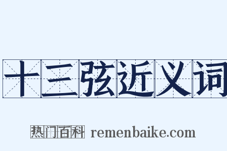 十三弦近义词是什么意思的图片